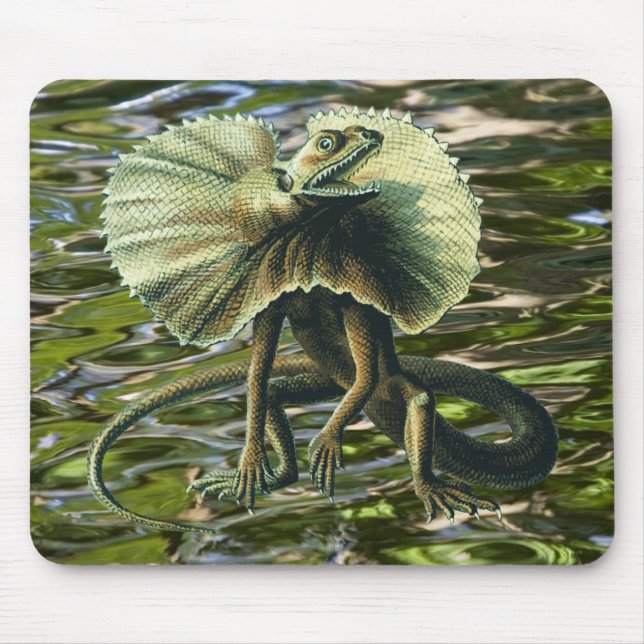 Jesus ödla Mousepad Musmatta (Framsidan)