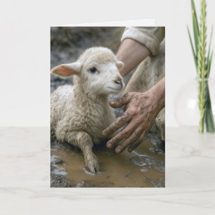 Jesus Rädda en lamm Kort