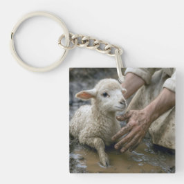 Jesus räddar ett lamm från en lerig grop
