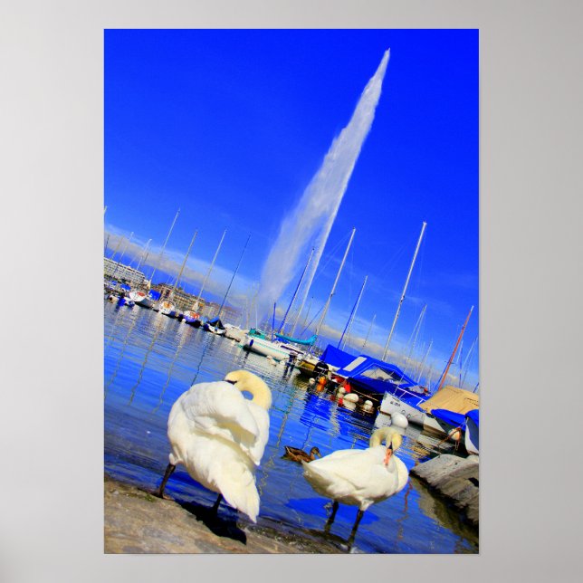 Jet d'Eau Poster (Framsidan)