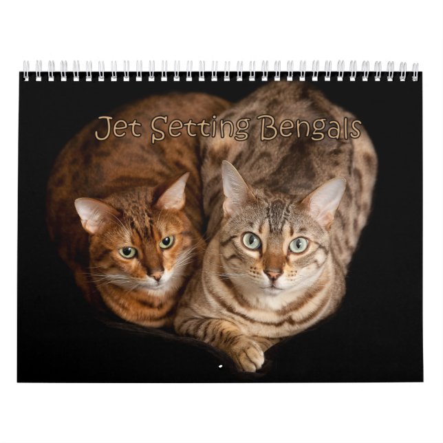 Jet ställer upp mål kalender (Omslag)