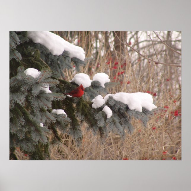 Jewel Among Trees Poster (Framsidan)