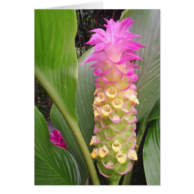 Jewel of Thailand Hälsningskort (Framsidan)