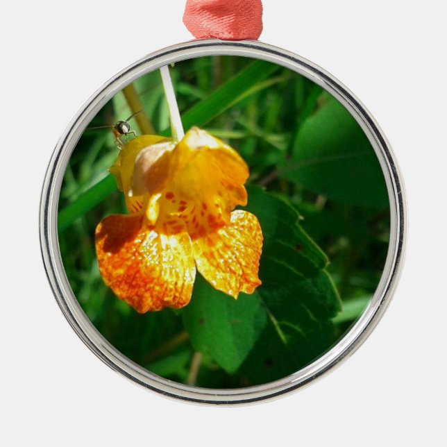Jewel Ogräs, Wildblomma Julgransprydnad Metall (Framsidan)