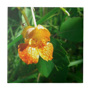 Jewel Ogräs, Wildblomma Kakelplatta