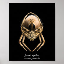 Jewel Spider Affisch (Semi-Glans)