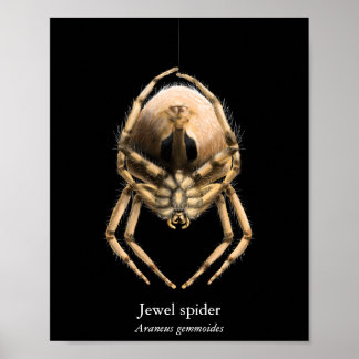 Jewel Spider Affisch (Semi-Glans)