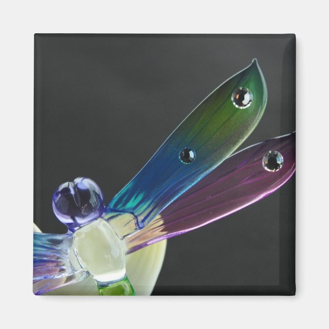 Jeweled Dragonfly Magnet (Framsidan)