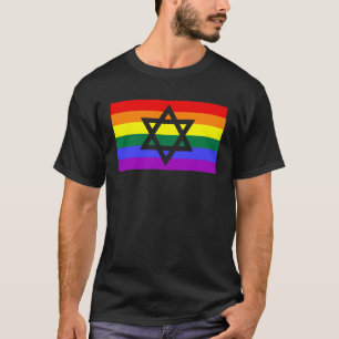 Jewish Hebrew Hanukkah Menorah LGBTQ Gay pride Fla T Shirt