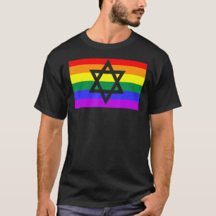Jewish Hebrew Hanukkah Menorah LGBTQ Gay pride Fla T Shirt