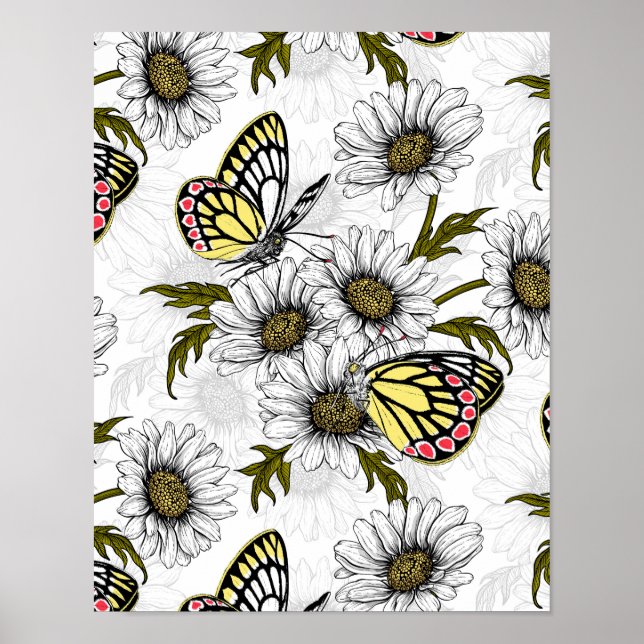 Jezebel butterflies och daisy blommor på vita poster (Framsidan)
