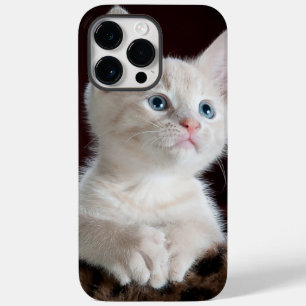 jfon 14 fodral pro max cat kärlek