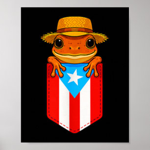 Jibaro Coqui Frog Puerto Rico Flagga Boricua Cket  Poster