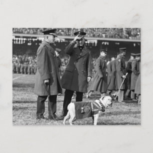 Jiggs Knows Football: 1923 Vykort