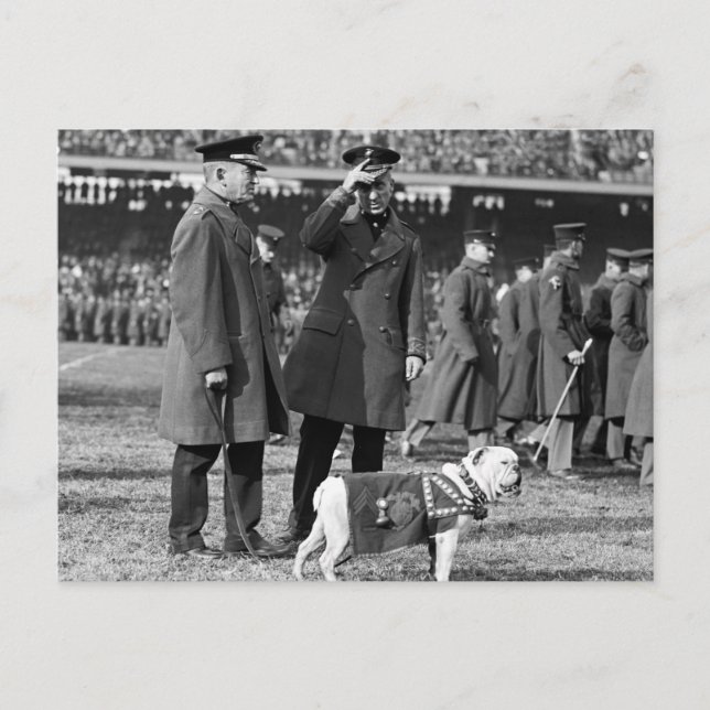 Jiggs Knows Football: 1923 Vykort (Framsida)