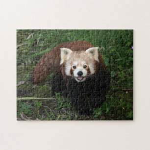 jigsaw - röd panda pussel