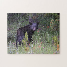 Jigsaws Jasper National Park Kanada. Pussel