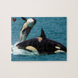 Jigsaws Orcas eller Killer Whales Pussel