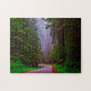 Jigsaws Redwood nationalpark. Pussel