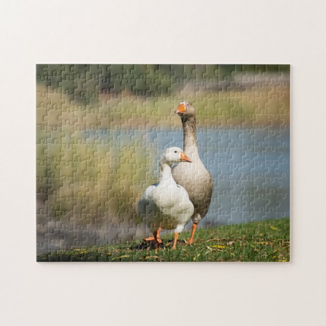 Jigszawa Puzzle of Two Geese Pussel (Horisontell)