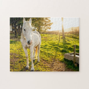 Jigszawa Puzzle of White Arabian Horse Pussel