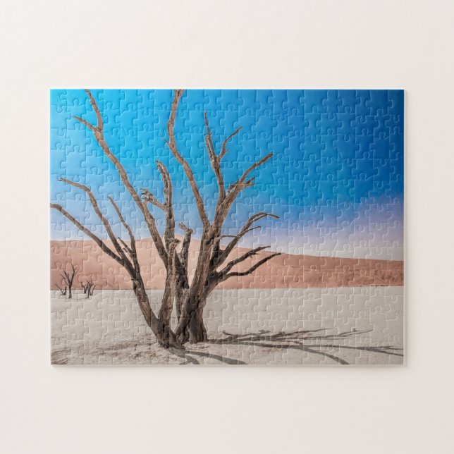 Jigszawpuzzel Dessert Scape i Deadvlei Pussel (Horisontell)