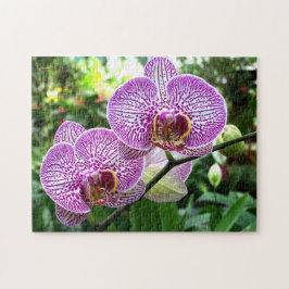 Jigszle Puzzle Lila Freckled Orchids Pussel