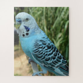 Jigszle Puzzle Pussel