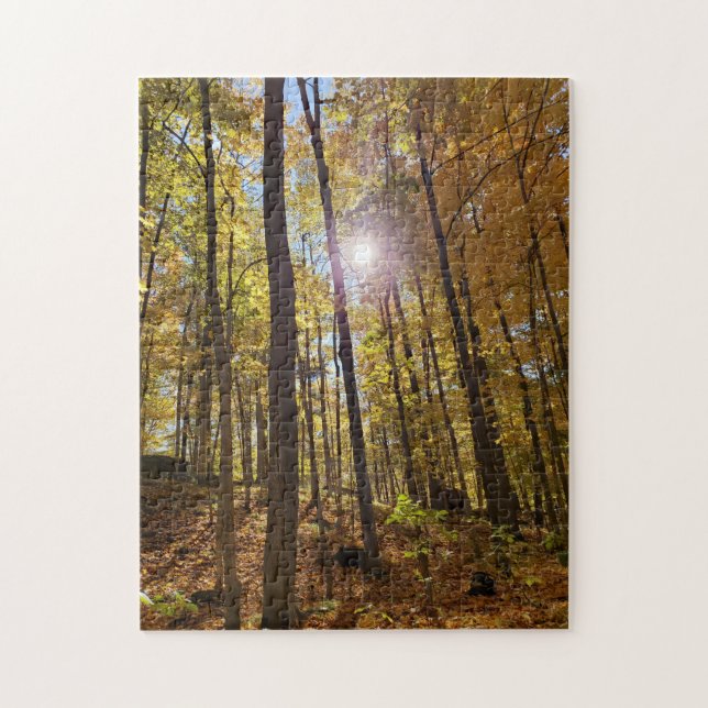 Jigszle Puzzle - Sunshine through Fall Skogen Pussel (Vertikal)