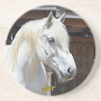 Jilly Horse Rädding Underlägg