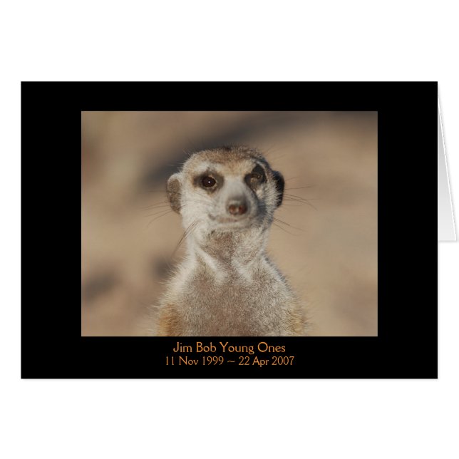 Jim egennamn - legendkort hälsningskort (Framsidan Horizontal)