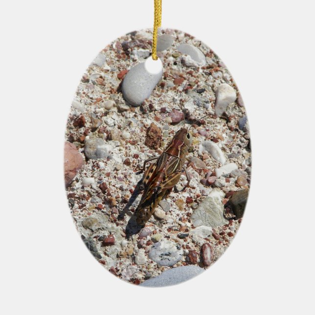 Jiminy syrsa julgransprydnad keramik (Framsidan)