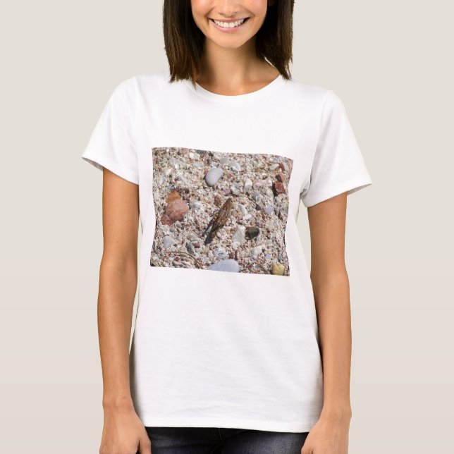 Jiminy syrsa tee (Framsida)