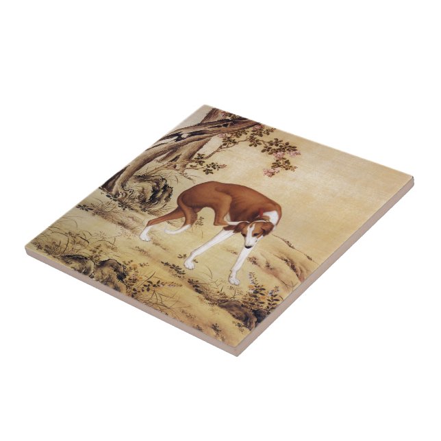 Jinchixianska 金 翅 ~ Greyhound ~ Giuseppe Castiglio Kakelplatta (Sidan)