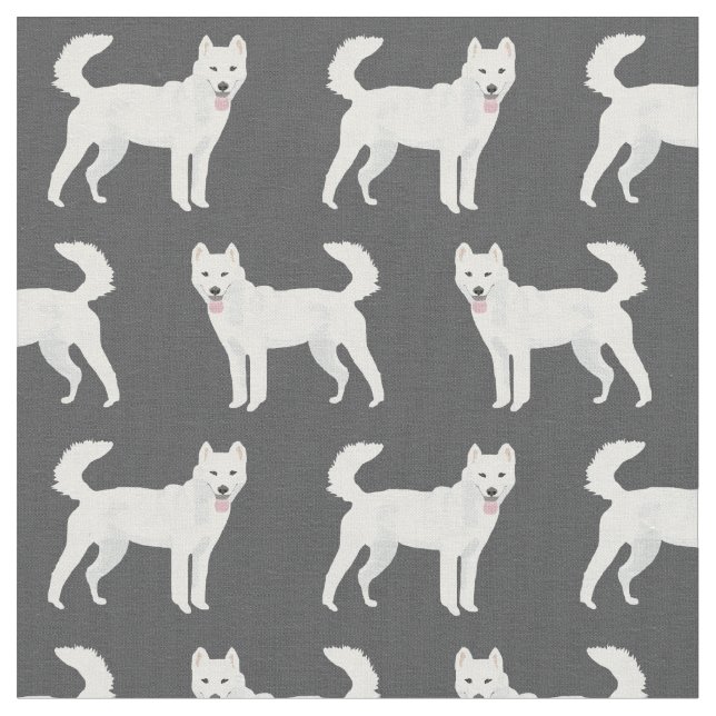 Jindo hund mörk tyg (Närbild)