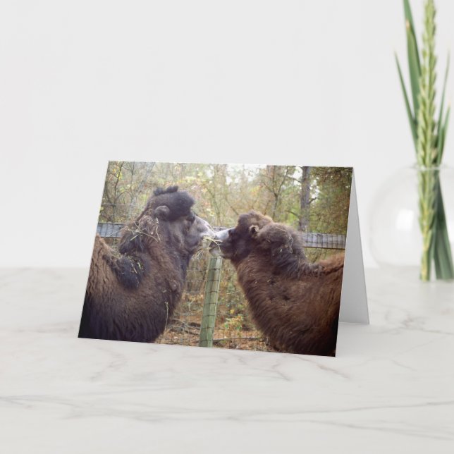 Jingle Baba och Google Mamma Kort (Framsida)
