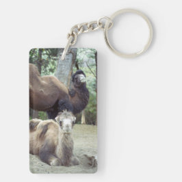 Jingle Baba och Purnimama