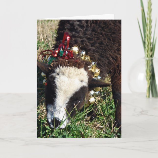 Jingle Bell Lamb, God jul Helgkort (Framsida)