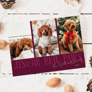 Jingle Bell Paws Jul Cranberry Hund Foto Julkort