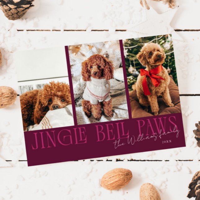 Jingle Bell Paws Jul Cranberry Hund Foto  Julkort (Skapare uppladdad)