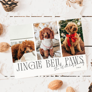 Jingle Bell Paws jul vit hund foto Julkort