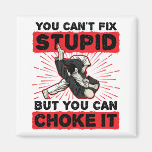 Jiu Jitsu du kan inte laga stupid men kan välja d Magnet