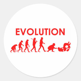 Jiu Jitsu Evolution Runt Klistermärke