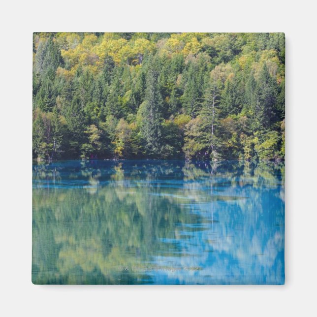 Jiuzhaigou Magnet (Framsidan)