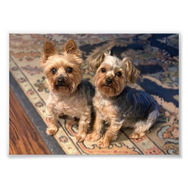 JoAn Nicolas Rosie Fototryck (Framsidan)