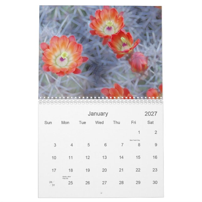 Joanne L Gallery Photography 2012 Kalender (Jan 2027)