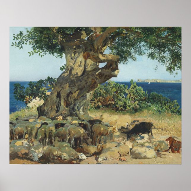 Joaquin Sorolla - Carob Träd Poster (Framsidan)