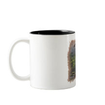 JOB 12:7 - Coffee Mug