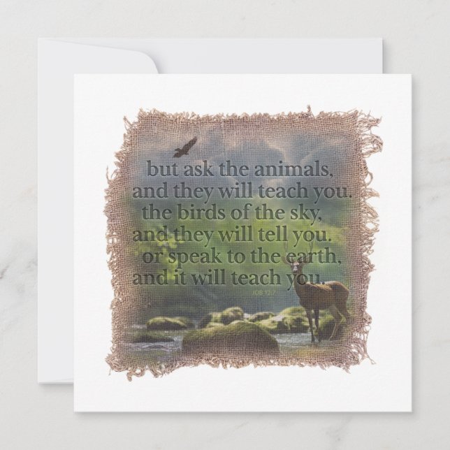 JOB 12:7 - Personalized Notecard Anteckningskort (Framsida)