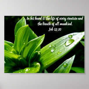 Jobb 12:10, Skriv ut, Poster Pappert (projektionsy